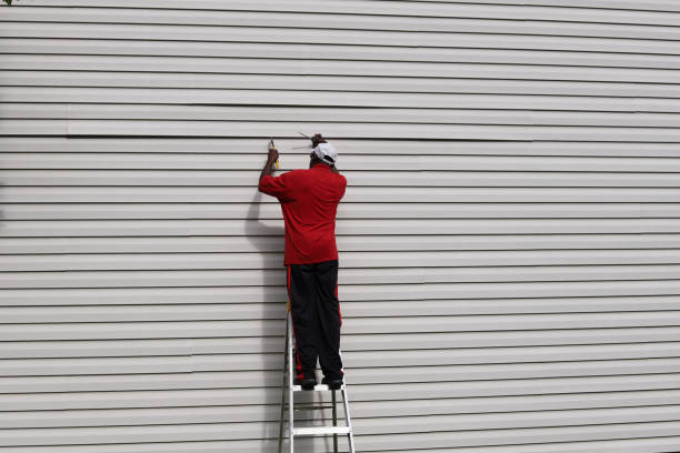 Best Brick Veneer Siding  in Prestonsburg, KY